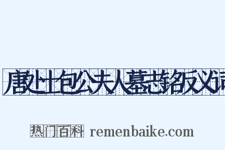 唐处士包公夫人墓志铭反义词是什么意思的图片
